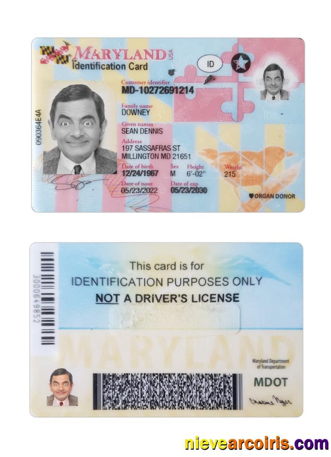 USA Maryland ID card